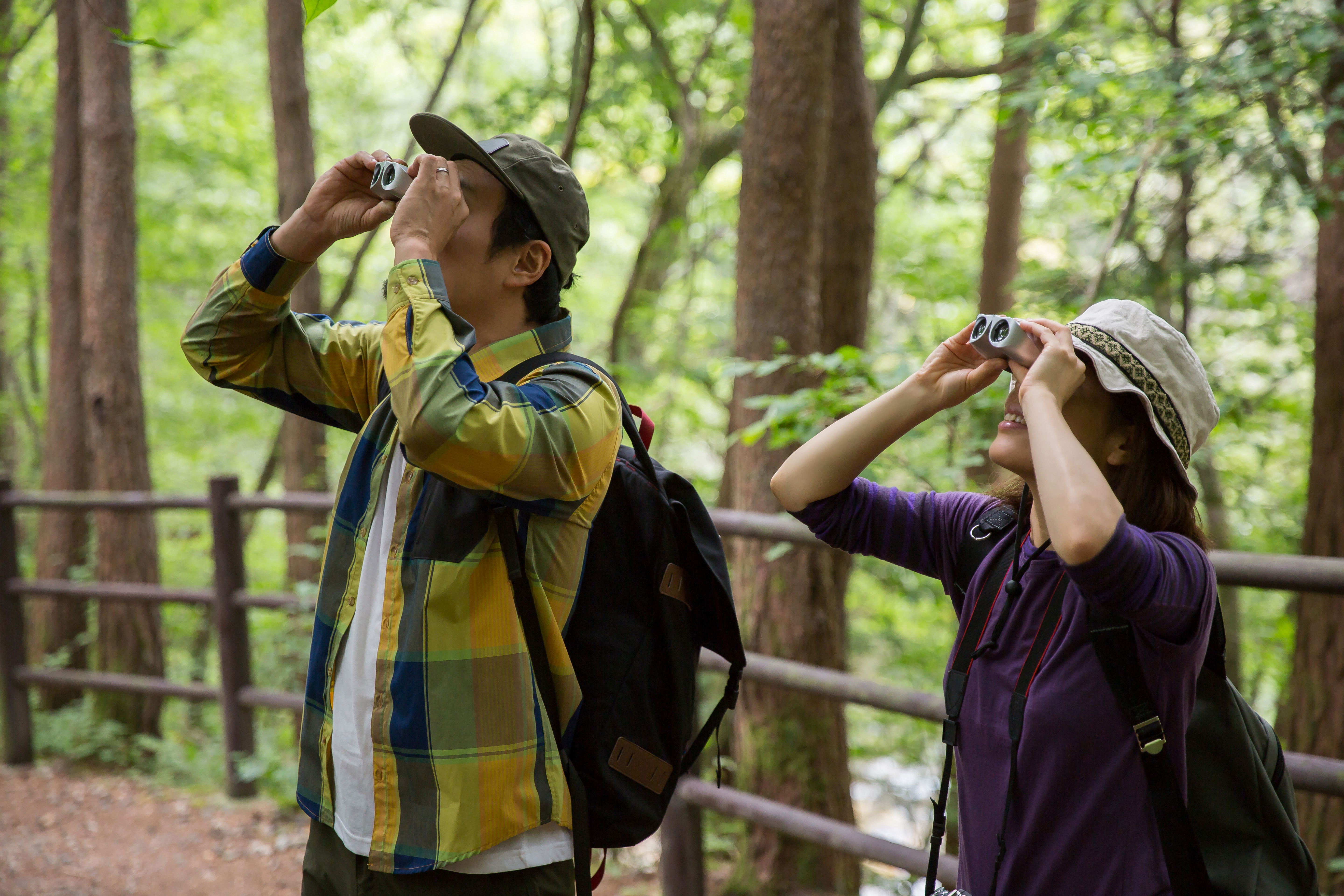  a couple birdwatching
